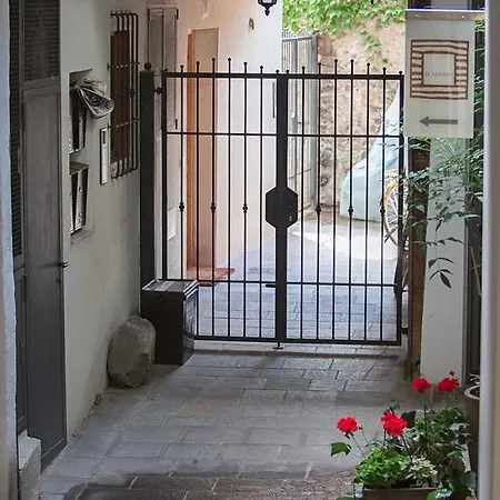 Ulivo - * Bolzano