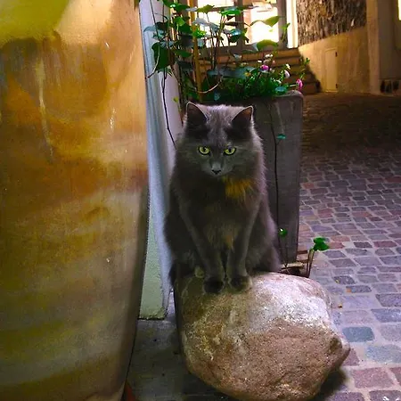 Luxus-idylle In The Downtown - Ulivo Апартаменты Больцано